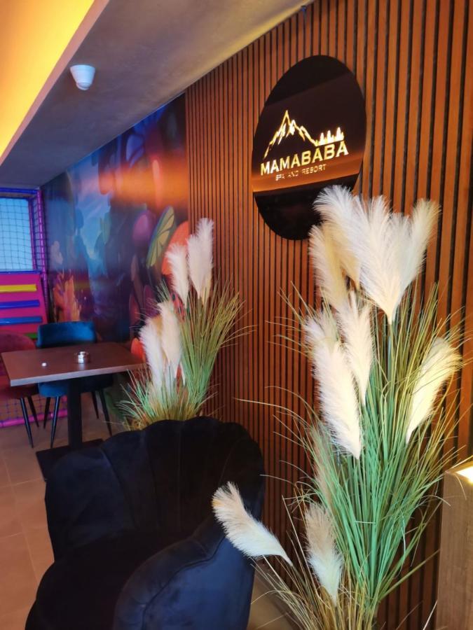 Milmari Resort N56 Kopaonik Wellnes&Spa Buitenkant foto